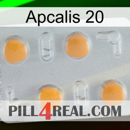 Apcalis 20 24